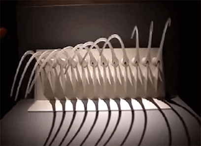 37.gif